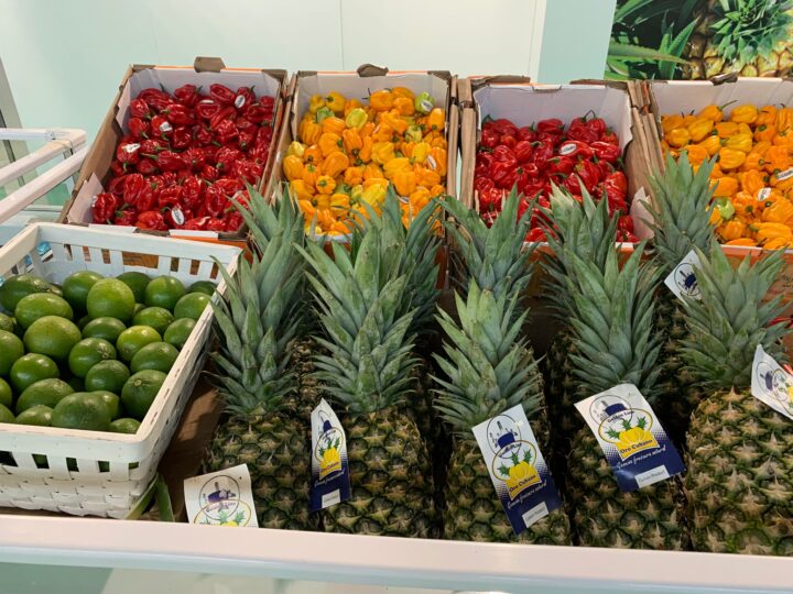 Macfrut Rimini 2022