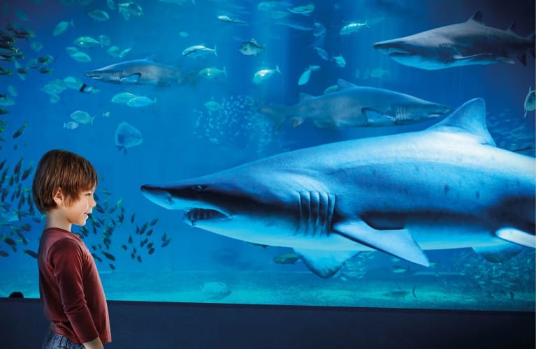 Acquario di Cattolica